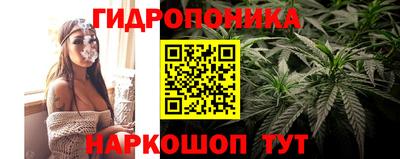 трава Кимры