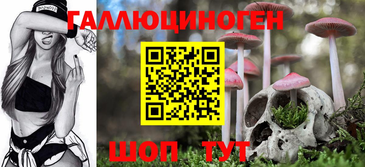 Псилоцибиновые грибы прущие грибы Конаково