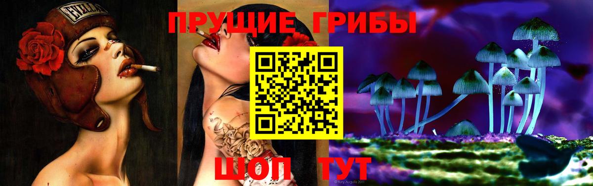 Псилоцибиновые грибы мицелий  где продают   Конаково  Вход с VPN  Псилоцибиновые грибы прущие грибы 